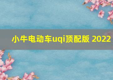 小牛电动车uqi顶配版 2022